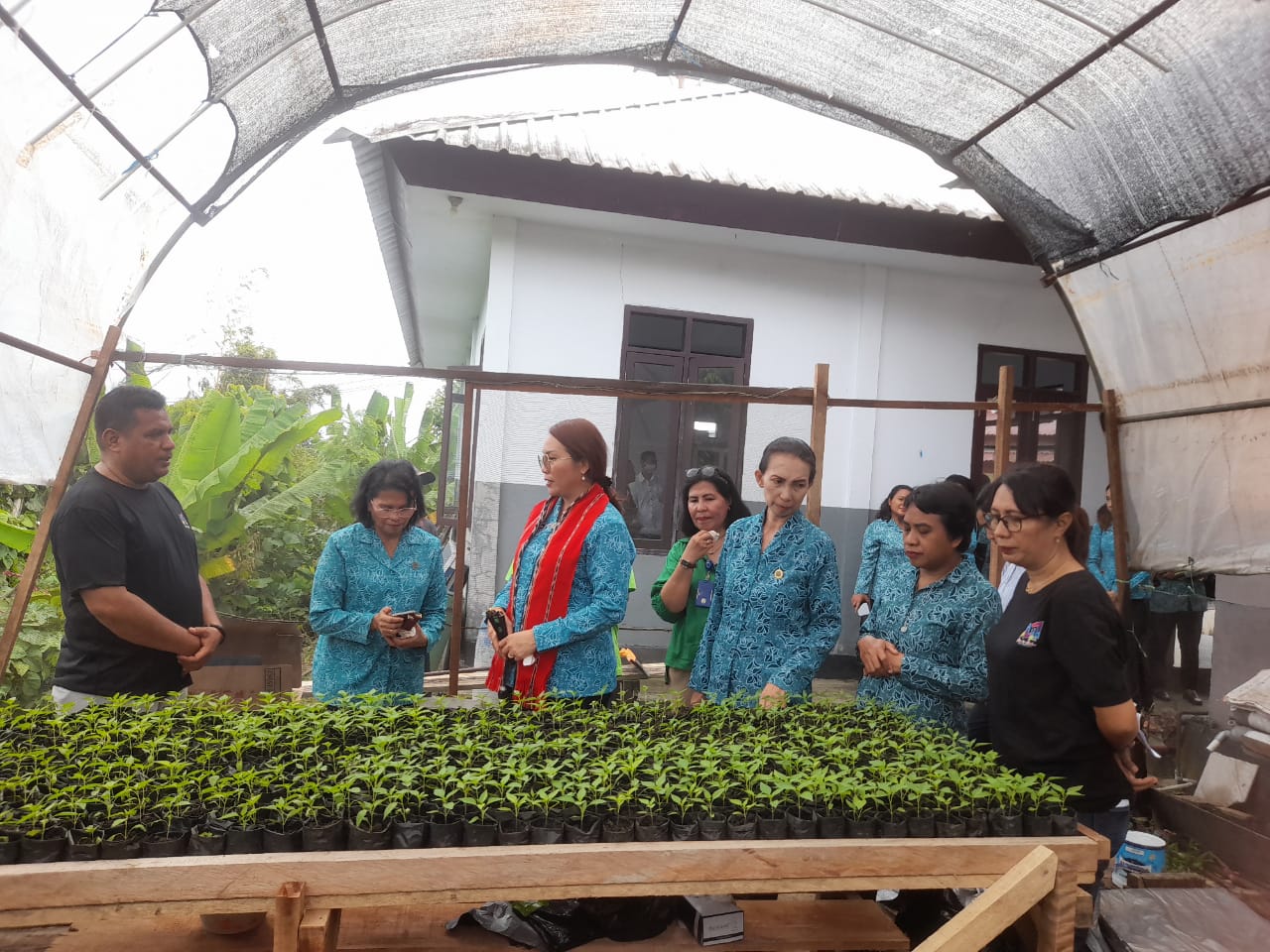 Penyediaan Rumah Bibit Desa, Dukungan Penguatan Ketahanan Pangan di Desa